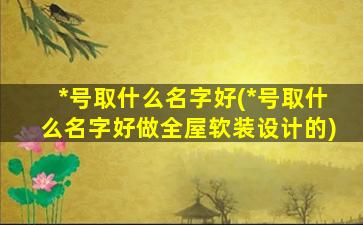 *
号取什么名字好(*
号取什么名字好做全屋软装设计的)