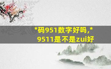 *
码951数字好吗,*
9511是不是zui
好