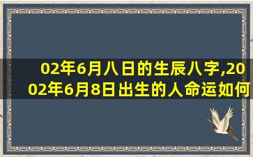 02年6月八日的生辰八字,2002年6月8日出生的人命运如何