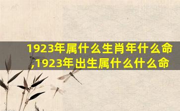 1923年属什么生肖年什么命,1923年出生属什么什么命