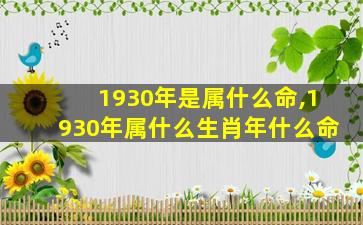 1930年是属什么命,1930年属什么生肖年什么命