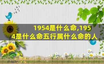 1954是什么命,1954是什么命五行属什么命的人