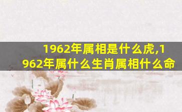 1962年属相是什么虎,1962年属什么生肖属相什么命