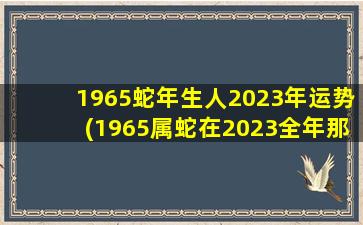 1965蛇年生人2023年运势(1965属蛇在2023全年那月不顺)