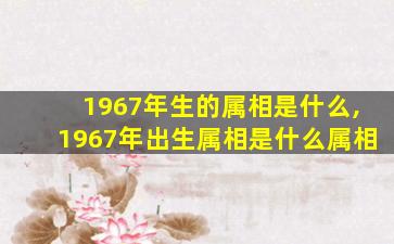 1967年生的属相是什么,1967年出生属相是什么属相