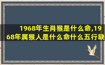 1968年生肖猴是什么命,1968年属猴人是什么命什么五行缺什么