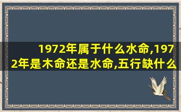 1972年属于什么水命,1972年是木命还是水命,五行缺什么