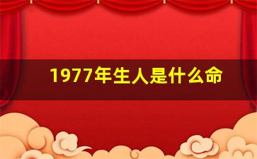 1977年生人是什么命