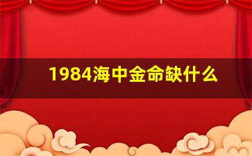 1984海中金命缺什么