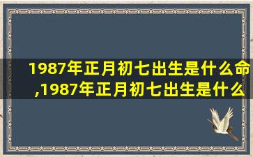 1987年正月初七出生是什么命,1987年正月初七出生是什么命适合在北方工作,还是南方