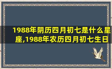 1988年阴历四月初七是什么星座,1988年农历四月初七生日是什么星座