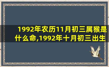 1992年农历11月初三属猴是什么命,1992年十月初三出生人的命运