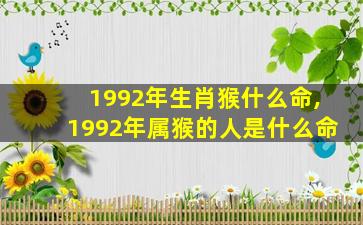 1992年生肖猴什么命,1992年属猴的人是什么命