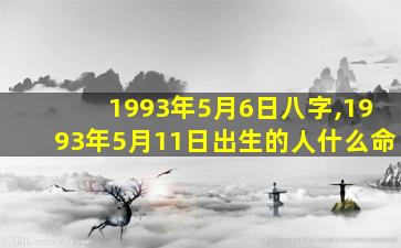 1993年5月6日八字,1993年5月11日出生的人什么命