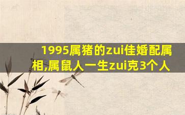 1995属猪的zui
佳婚配属相,属鼠人一生zui
克3个人