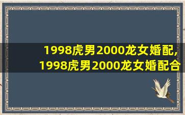 1998虎男2000龙女婚配,1998虎男2000龙女婚配合适吗-属龙-生肖-三堂网