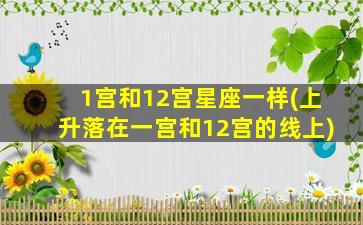 1宫和12宫星座一样(上升落在一宫和12宫的线上)