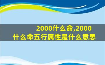 2000什么命,2000什么命五行属性是什么意思