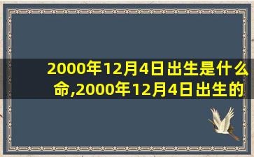 2000年12月4日出生是什么命,2000年12月4日出生的人