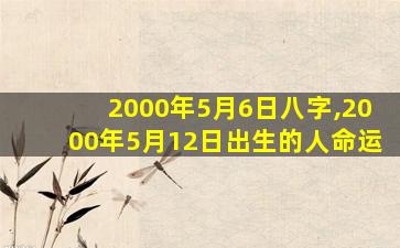 2000年5月6日八字,2000年5月12日出生的人命运