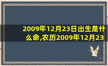 2009年12月23日出生是什么命,农历2009年12月23日出生的属什么