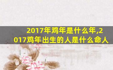 2017年鸡年是什么年,2017鸡年出生的人是什么命人