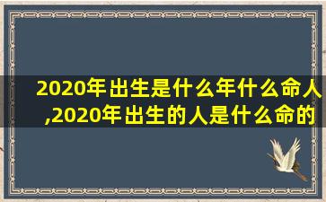 2020年出生是什么年什么命人,2020年出生的人是什么命的人