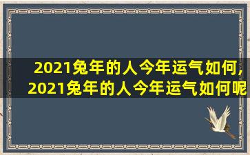 2021兔年的人今年运气如何,2021兔年的人今年运气如何呢