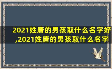 2021姓唐的男孩取什么名字好,2021姓唐的男孩取什么名字好听点