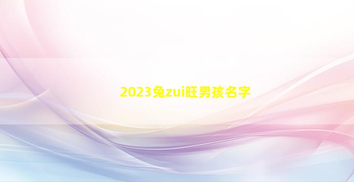 2023兔zui
旺男孩名字