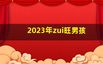 2023年zui
旺男孩