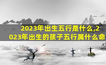 2023年出生五行是什么,2023年出生的孩子五行属什么命