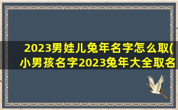 2023男娃儿兔年名字怎么取(小男孩名字2023兔年大全取名)