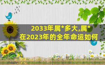 2033年属*
多大,属*
在2023年的全年命运如何