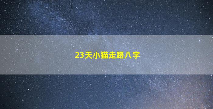 23天小猫走路八字