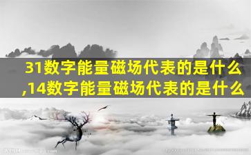 31数字能量磁场代表的是什么,14数字能量磁场代表的是什么