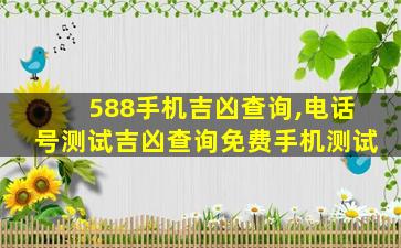 588手机吉凶查询,电话号测试吉凶查询免费手机测试