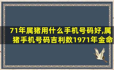 71年属猪用什么手机号码好,属猪手机号码吉利数1971年金命