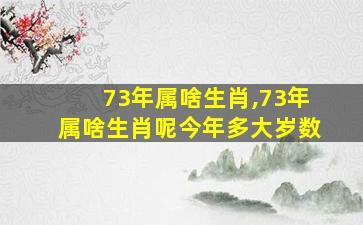 73年属啥生肖,73年属啥生肖呢今年多大岁数