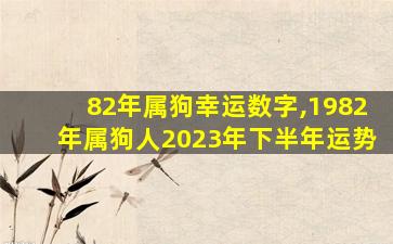 82年属狗幸运数字,1982年属狗人2023年下半年运势