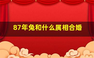 87年兔和什么属相合婚