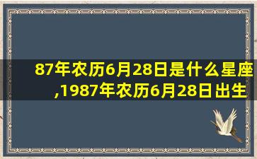 87年农历6月28日是什么星座,1987年农历6月28日出生是什么命