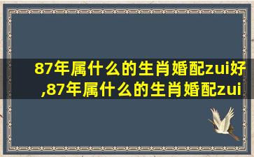 87年属什么的生肖婚配zui
好,87年属什么的生肖婚配zui
好呢