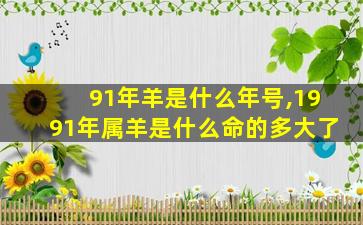 91年羊是什么年号,1991年属羊是什么命的多大了