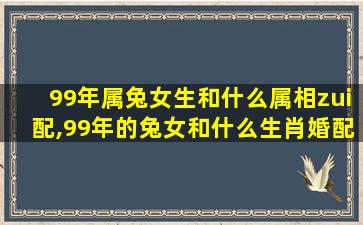 99年属兔女生和什么属相zui
配,99年的兔女和什么生肖婚配zui
好