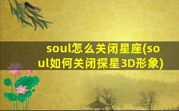 soul怎么关闭星座(soul如何关闭探星3D形象)