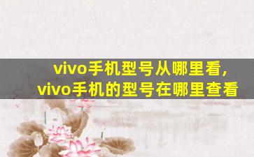 vivo手机型号从哪里看,vivo手机的型号在哪里查看