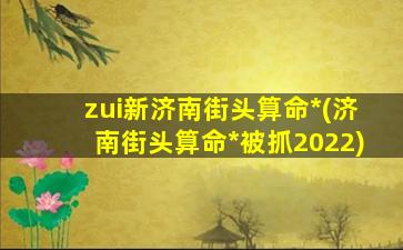 zui
新济南街头算命*
(济南街头算命*
被抓2022)