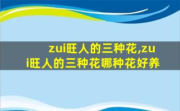 zui
旺人的三种花,zui
旺人的三种花哪种花好养