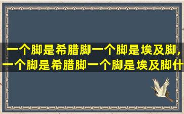 一个脚是希腊脚一个脚是埃及脚,一个脚是希腊脚一个脚是埃及脚什么意思